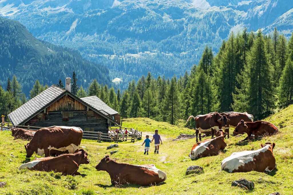 ۱۰ دلیل که کلبه‌های طبیعت، پناهگاه‌های بی‌نظیری هستند